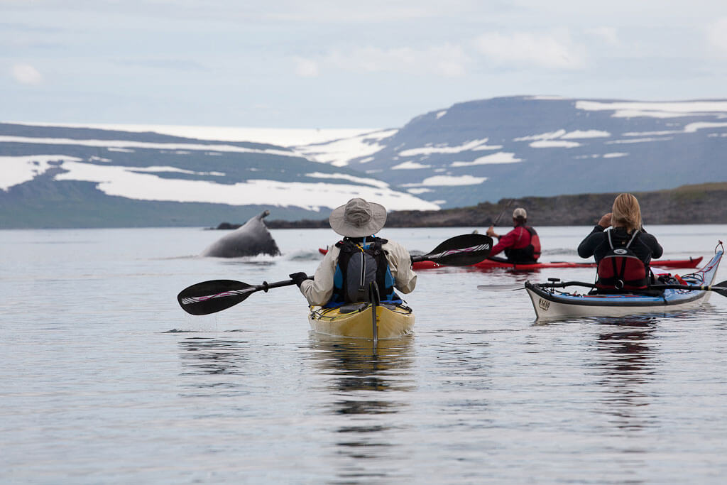 Iceland, kayaking, Borea Adventures