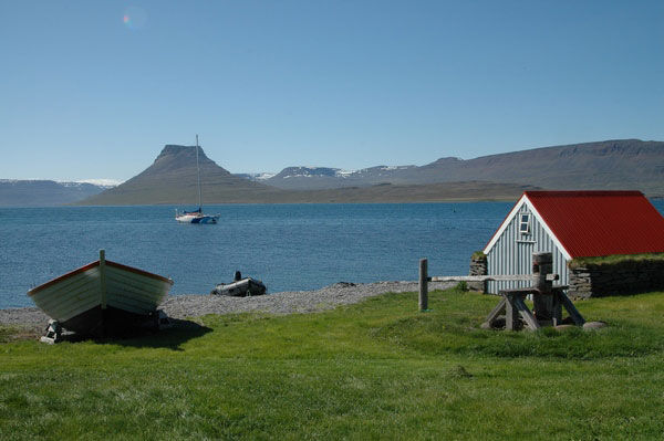 The wildlife of Hornstrandir at its best | Borea Adventures