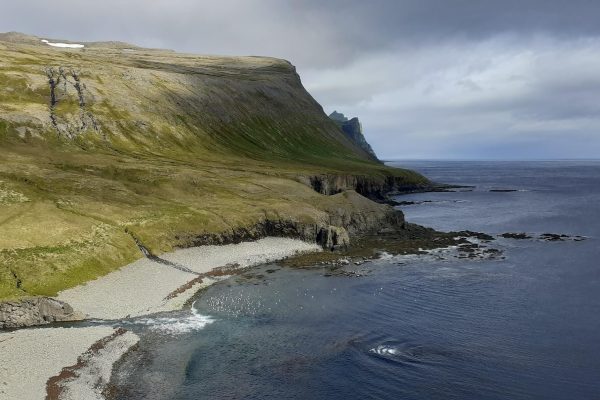 A Walk on the Wild Side