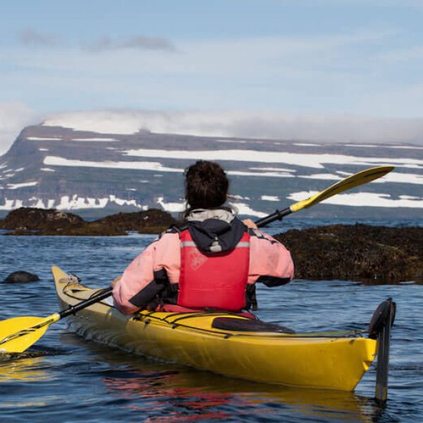 Seabird Discovery by Borea Adventures