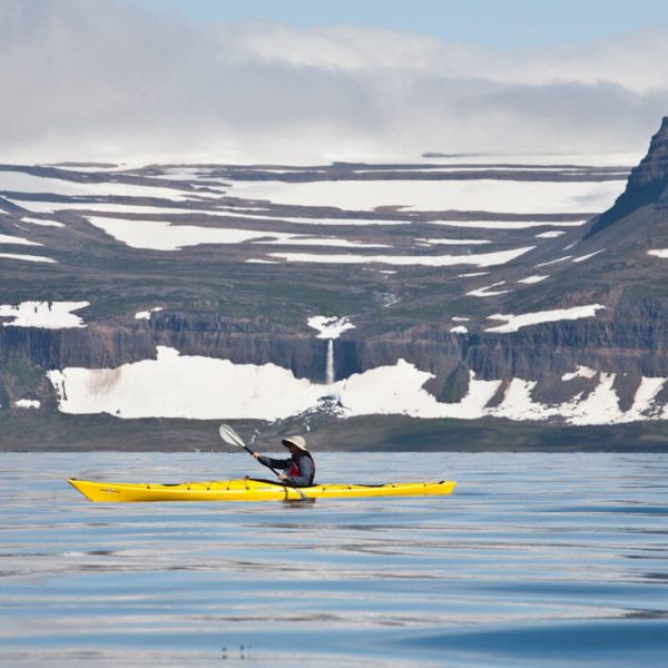 Wildlife-of-vigur-7