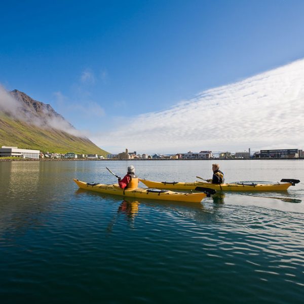 l_gallery532dc022502aa