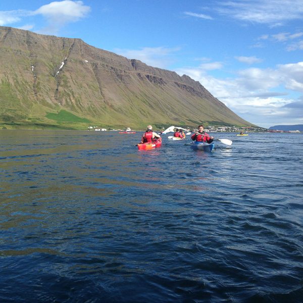 l_gallery532dc02348fea