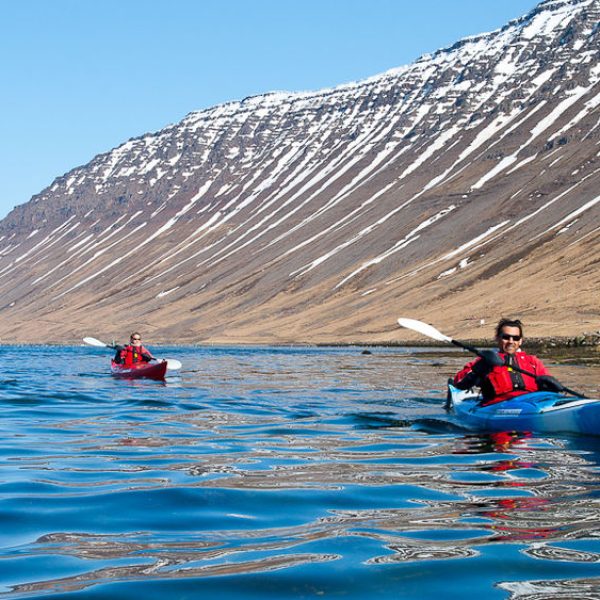 l_gallery532dc0266ac7e