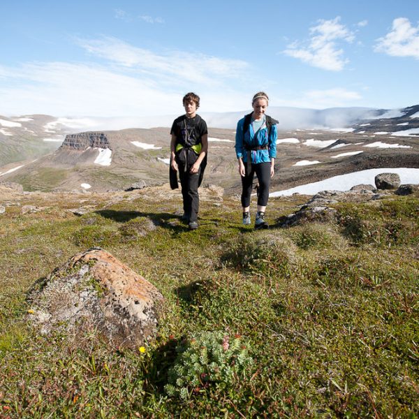 l_gallery532df69c4aac1