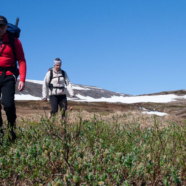 l_gallery532df6a567cfa