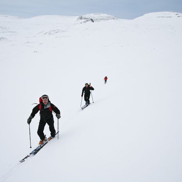 l_gallery532f1e5da74e6