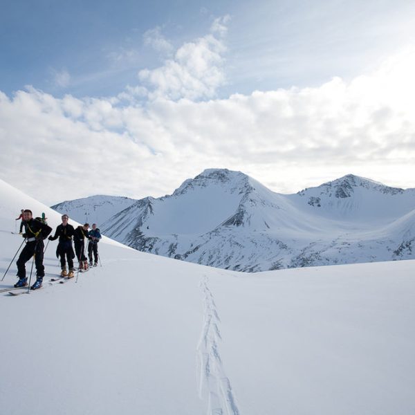 l_gallery532f1e608c514