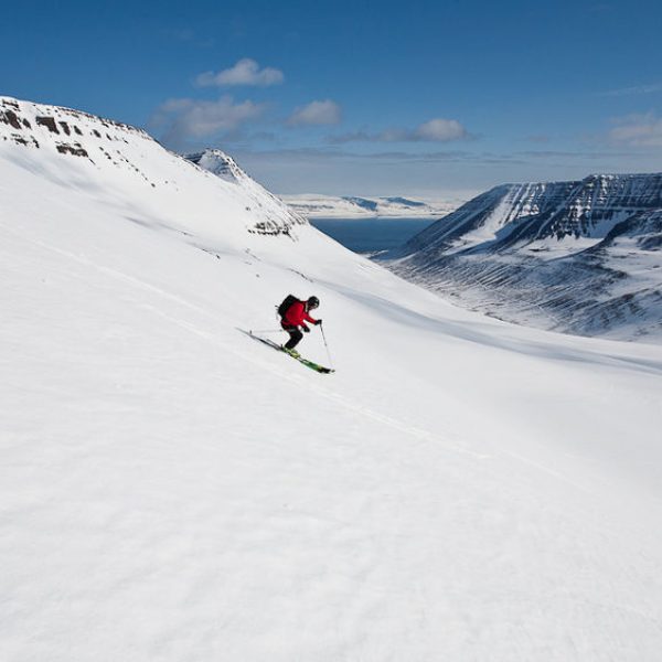 l_gallery532f1e646ec8d