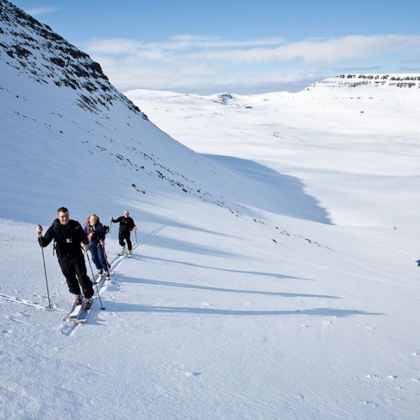 l_gallery532f1e654ab46