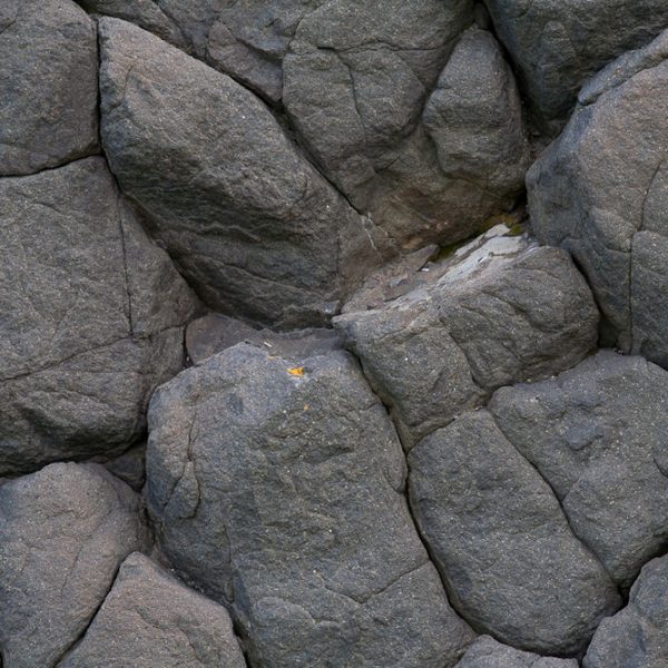 l_gallery532f51ed81ced