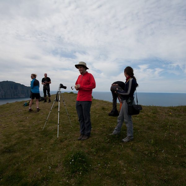 l_gallery532f51ee8d70a