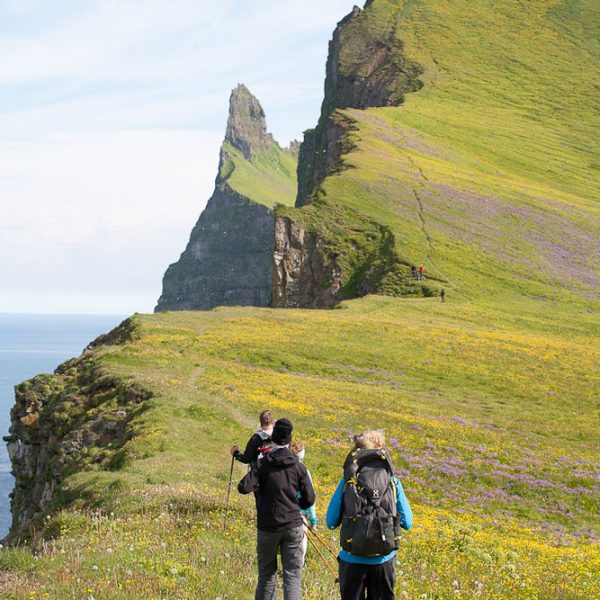 l_gallery532f51ef8ba34