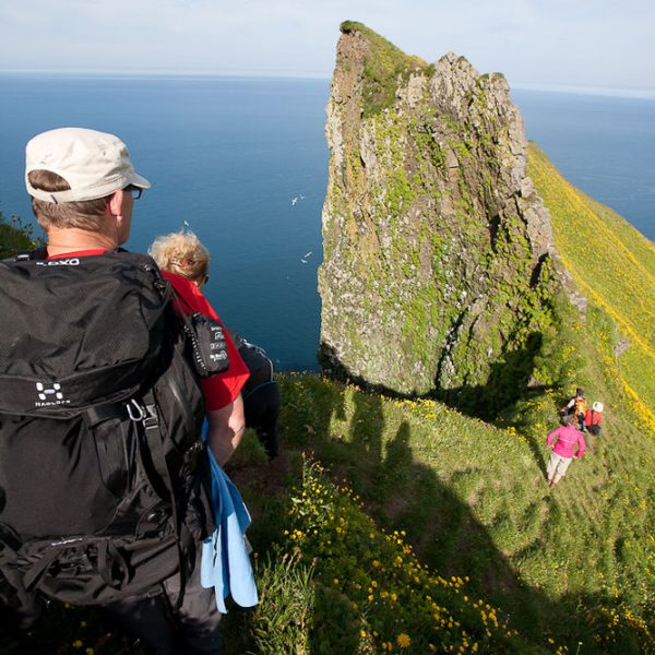 l_gallery532f51f398256