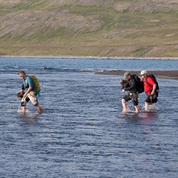 l_gallery532f51f5a45bc