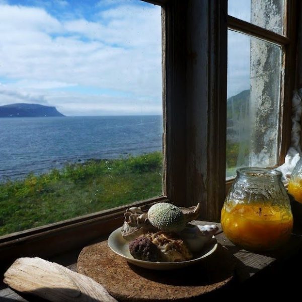 l_gallery532f550465e98