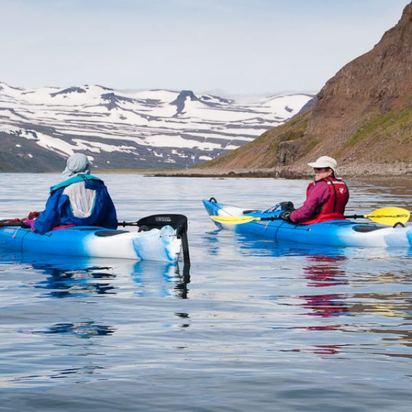 l_gallery532f55092943f