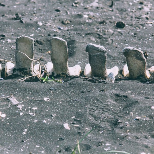 l_gallery5620ddc3bc91d