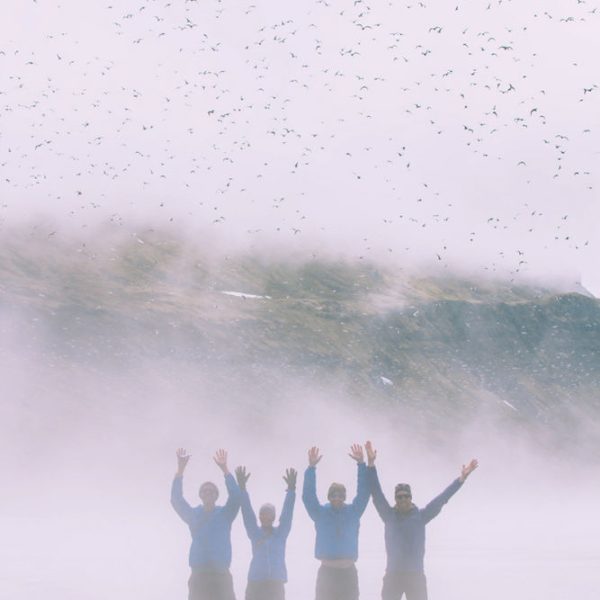 l_gallery5620ddc5cc3dc