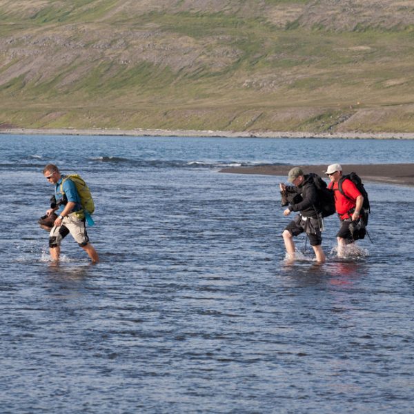 l_gallery5620ddcc9a5fd