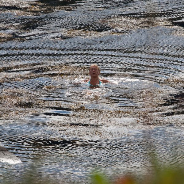 l_gallery5620ddcea33cb