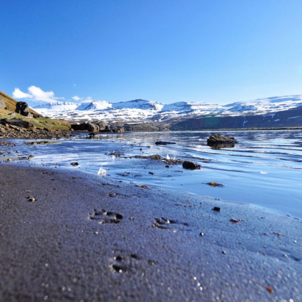 l_gallery5620ddd0a1c2a