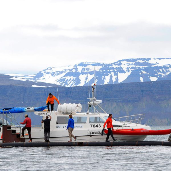 l_gallery5658795feae3a