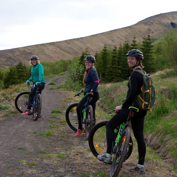 l_gallery575a9a685402c