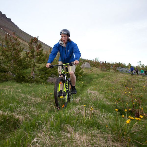 l_gallery575a9a6c04132