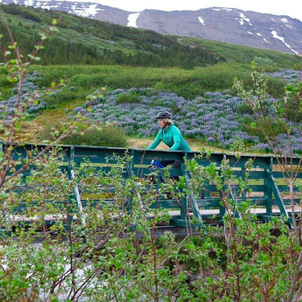 l_gallery575a9a731a8a9