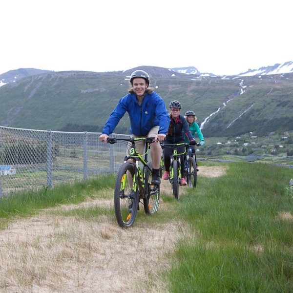 l_gallery575a9c39a3b29