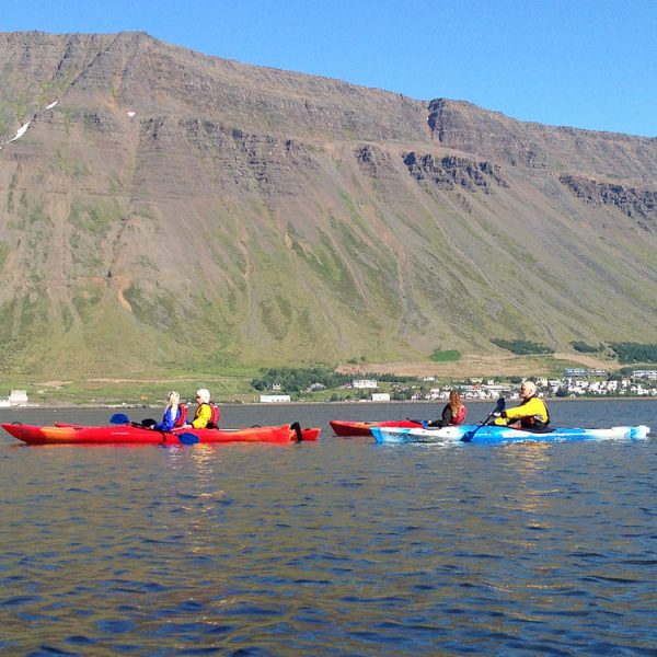 l_gallery5811d3aed37c4