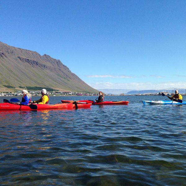 l_gallery5811d3b2ec0b2