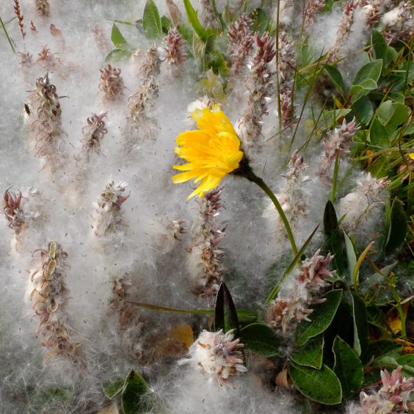 l_gallery5849fb36f293f