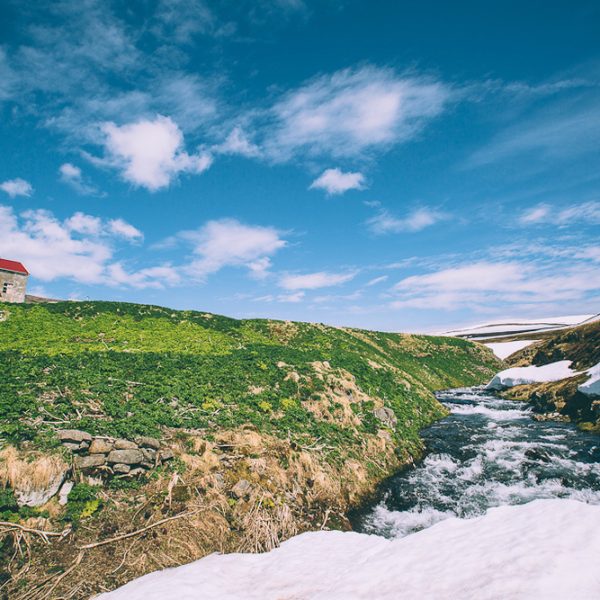 l_gallery5849fb3ab6611