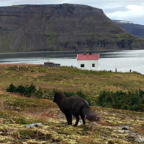 l_gallery5849fb3c52279