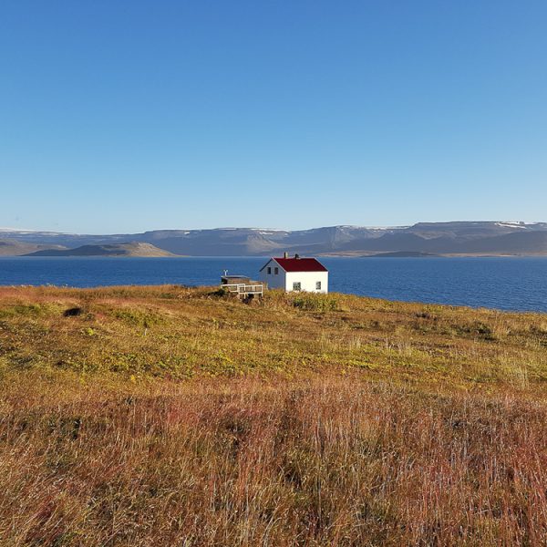 l_gallery5849fb455f6fa