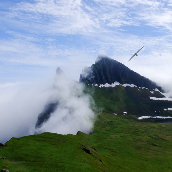 l_gallery594c51aa29271