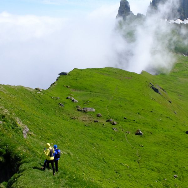 l_gallery594c51aade1f3