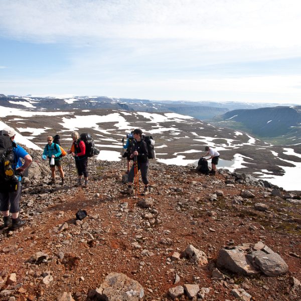 l_gallery594c51b7a1273