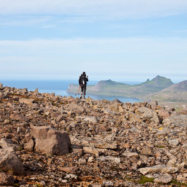 l_gallery594c51b894223