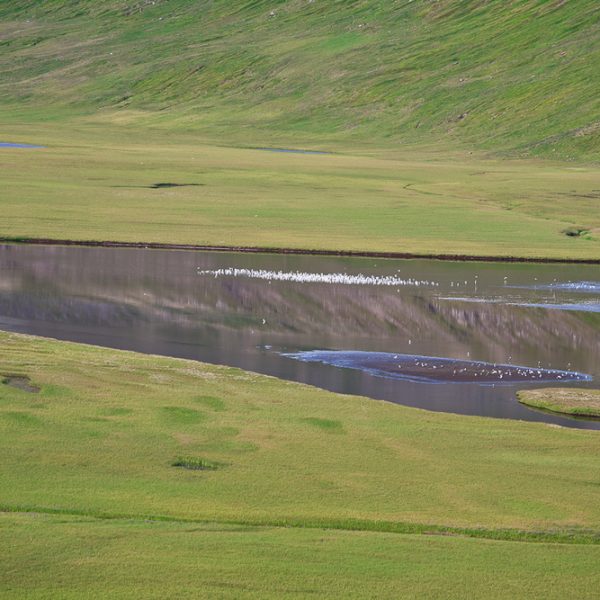 l_gallery594c51bcb6efa