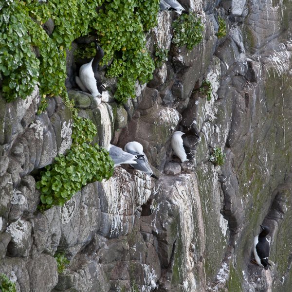 l_gallery594c5569b3b15