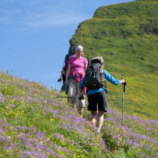 l_gallery594c556a8a9e9