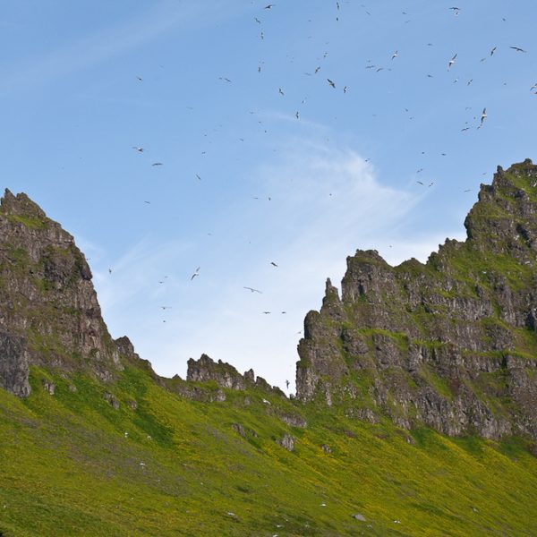 l_gallery594c55716e580