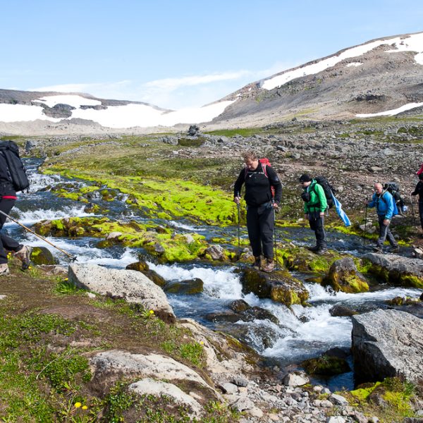 l_gallery594c557671736