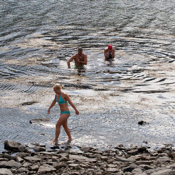 l_gallery594c557915944