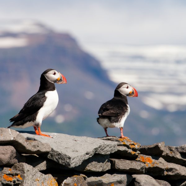 l_gallery59e5f9d93b7c9