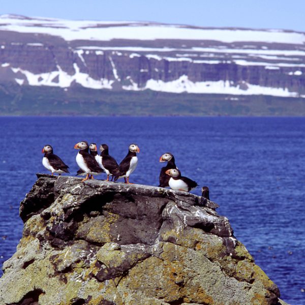 l_gallery59e5f9db6aaaa