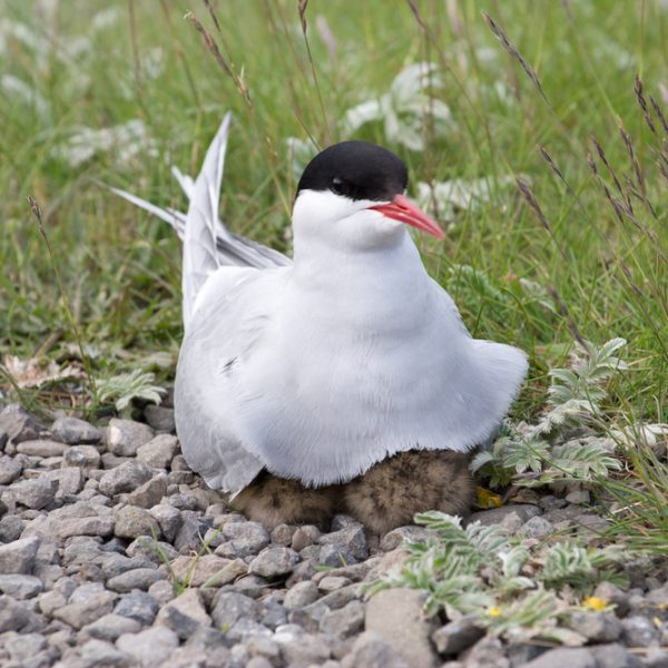 l_gallery59e5f9de1ad92